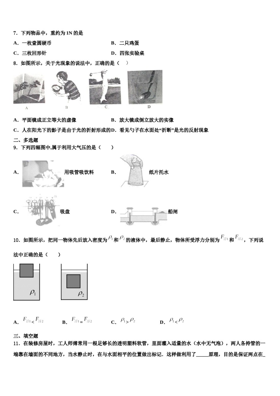 2023-2024学年广东省惠阳市马安中学物理八下期末监测模拟试题含解析.doc_第2页