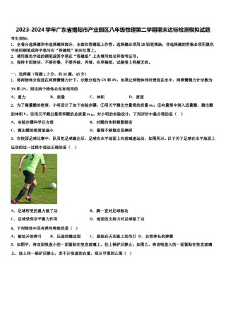 2023-2024学年广东省揭阳市产业园区八年级物理第二学期期末达标检测模拟试题含解析.doc