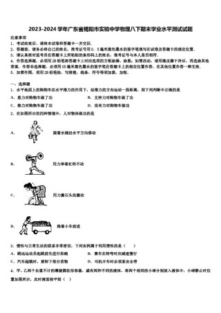 2023-2024学年广东省揭阳市实验中学物理八下期末学业水平测试试题含解析.doc
