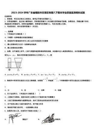 2023-2024学年广东省揭阳市空港区物理八下期末学业质量监测模拟试题含解析.doc