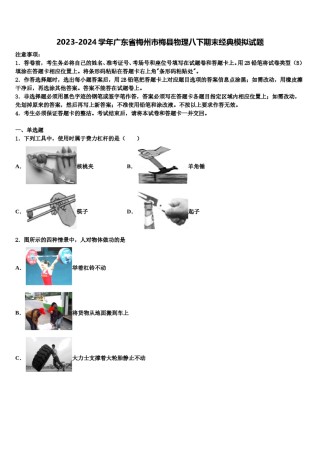 2023-2024学年广东省梅州市梅县物理八下期末经典模拟试题含解析.doc