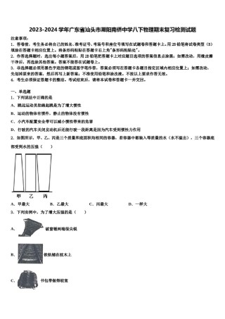 2023-2024学年广东省汕头市潮阳南侨中学八下物理期末复习检测试题含解析.doc