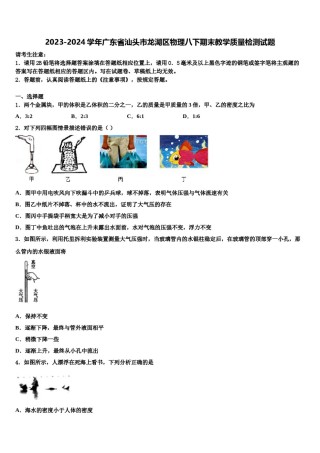 2023-2024学年广东省汕头市龙湖区物理八下期末教学质量检测试题含解析.doc