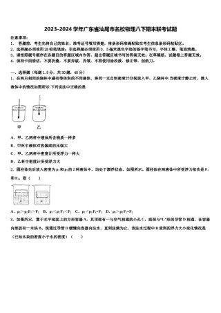 2023-2024学年广东省汕尾市名校物理八下期末联考试题含解析.doc