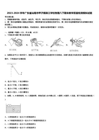 2023-2024学年广东省汕尾市甲子镇瀛江学校物理八下期末教学质量检测模拟试题含解析.doc