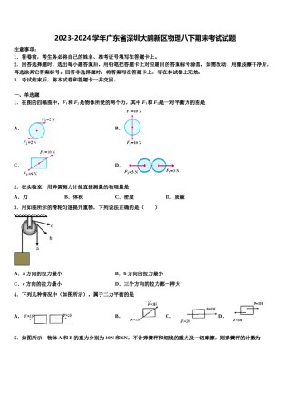 2023-2024学年广东省深圳大鹏新区物理八下期末考试试题含解析.doc