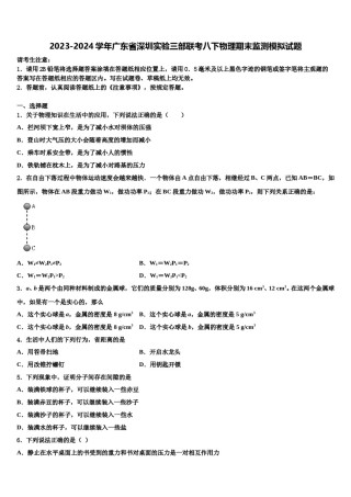 2023-2024学年广东省深圳实验三部联考八下物理期末监测模拟试题含解析.doc