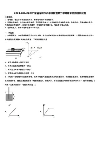 2023-2024学年广东省深圳市八年级物理第二学期期末检测模拟试题含解析.doc