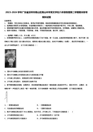 2023-2024学年广东省深圳市南山区南山中学英文学校八年级物理第二学期期末联考模拟试题含解析.doc