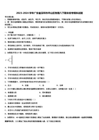 2023-2024学年广东省深圳市坪山区物理八下期末统考模拟试题含解析.doc