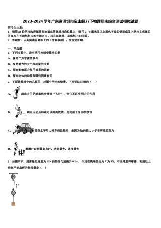 2023-2024学年广东省深圳市宝山区八下物理期末综合测试模拟试题含解析.doc