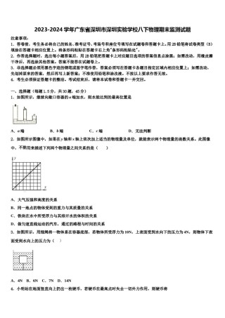 2023-2024学年广东省深圳市深圳实验学校八下物理期末监测试题含解析.doc