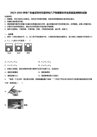 2023-2024学年广东省深圳市石厦学校八下物理期末学业质量监测模拟试题含解析.doc
