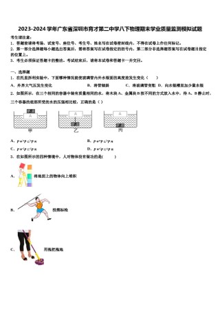 2023-2024学年广东省深圳市育才第二中学八下物理期末学业质量监测模拟试题含解析.doc