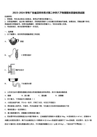 2023-2024学年广东省深圳市育才第二中学八下物理期末质量检测试题含解析.doc