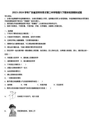 2023-2024学年广东省深圳市育才第二中学物理八下期末检测模拟试题含解析.doc