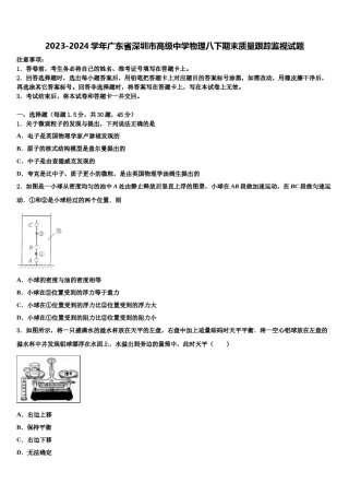 2023-2024学年广东省深圳市高级中学物理八下期末质量跟踪监视试题含解析.doc