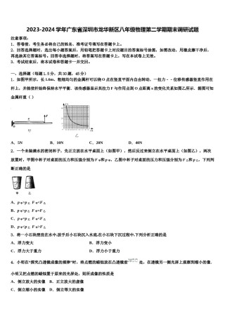 2023-2024学年广东省深圳市龙华新区八年级物理第二学期期末调研试题含解析.doc