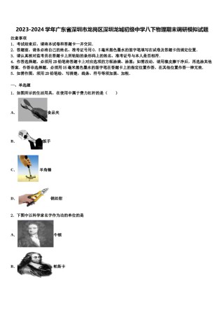 2023-2024学年广东省深圳市龙岗区深圳龙城初级中学八下物理期末调研模拟试题含解析.doc