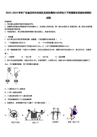 2023-2024学年广东省深圳市龙岗区龙岗区横岗六约学校八下物理期末质量检测模拟试题含解析.doc