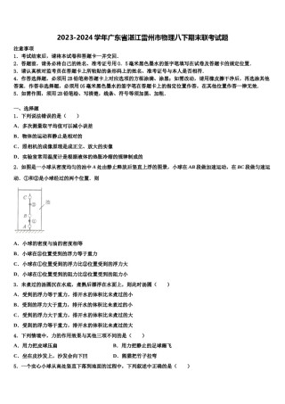 2023-2024学年广东省湛江雷州市物理八下期末联考试题含解析.doc