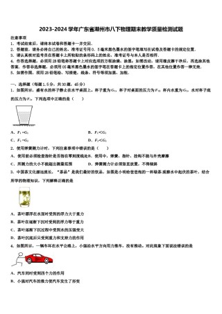 2023-2024学年广东省潮州市八下物理期末教学质量检测试题含解析.doc