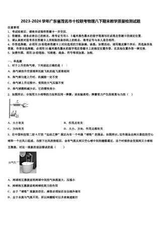 2023-2024学年广东省茂名市十校联考物理八下期末教学质量检测试题含解析.doc