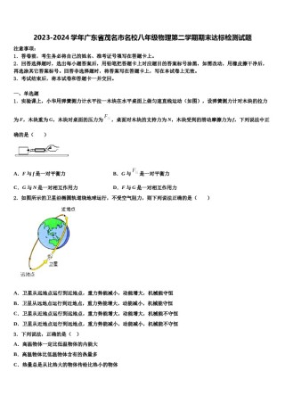 2023-2024学年广东省茂名市名校八年级物理第二学期期末达标检测试题含解析.doc