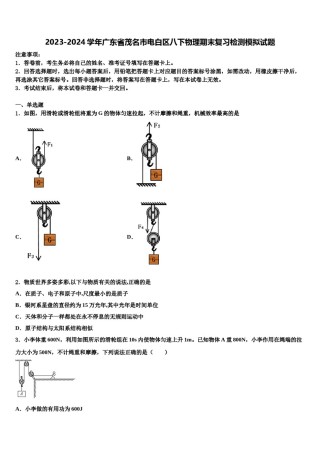 2023-2024学年广东省茂名市电白区八下物理期末复习检测模拟试题含解析.doc