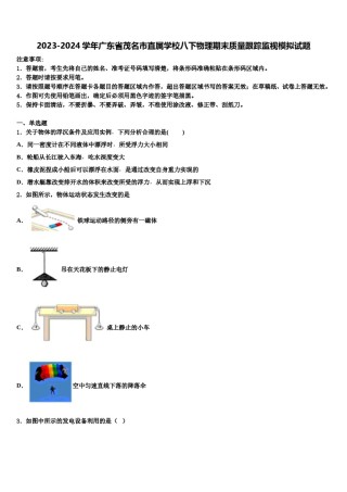 2023-2024学年广东省茂名市直属学校八下物理期末质量跟踪监视模拟试题含解析.doc