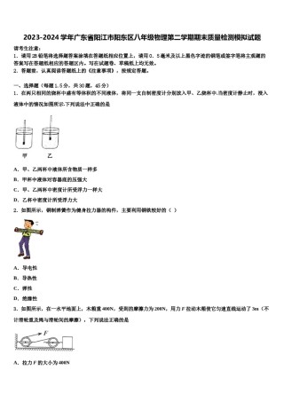 2023-2024学年广东省阳江市阳东区八年级物理第二学期期末质量检测模拟试题含解析.doc