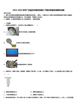 2023-2024学年广东省龙华新区物理八下期末质量检测模拟试题含解析.doc