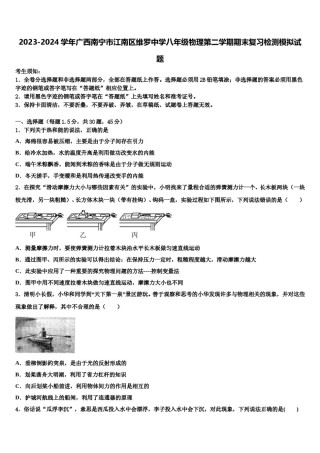 2023-2024学年广西南宁市江南区维罗中学八年级物理第二学期期末复习检测模拟试题含解析.doc
