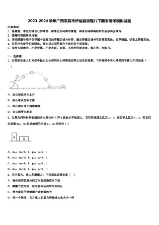 2023-2024学年广西来宾市忻城县物理八下期末统考模拟试题含解析.doc