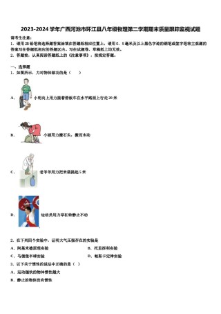2023-2024学年广西河池市环江县八年级物理第二学期期末质量跟踪监视试题含解析.doc