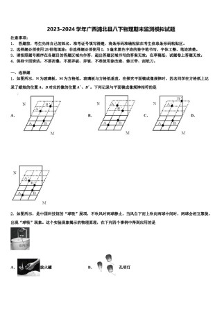 2023-2024学年广西浦北县八下物理期末监测模拟试题含解析.doc