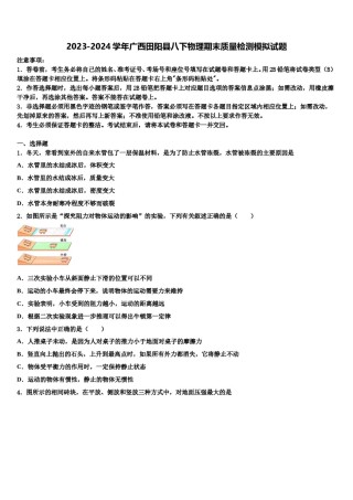 2023-2024学年广西田阳县八下物理期末质量检测模拟试题含解析.doc