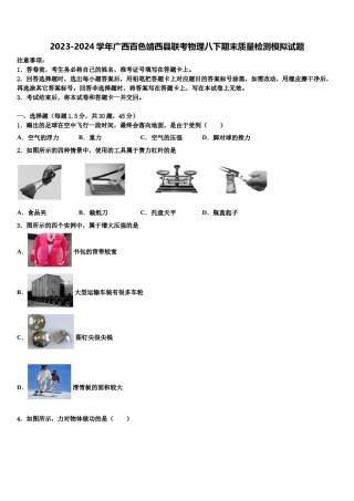 2023-2024学年广西百色靖西县联考物理八下期末质量检测模拟试题含解析.doc
