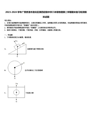 2023-2024学年广西贵港市港北区第四初级中学八年级物理第二学期期末复习检测模拟试题含解析.doc