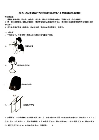 2023-2024学年广西贺州昭平县联考八下物理期末经典试题含解析.doc