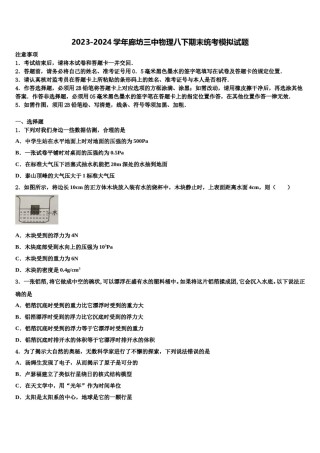 2023-2024学年廊坊三中物理八下期末统考模拟试题含解析.doc