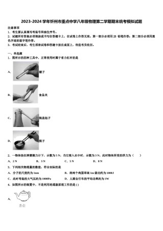 2023-2024学年忻州市重点中学八年级物理第二学期期末统考模拟试题含解析.doc