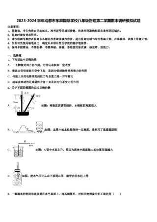2023-2024学年成都市东辰国际学校八年级物理第二学期期末调研模拟试题含解析.doc
