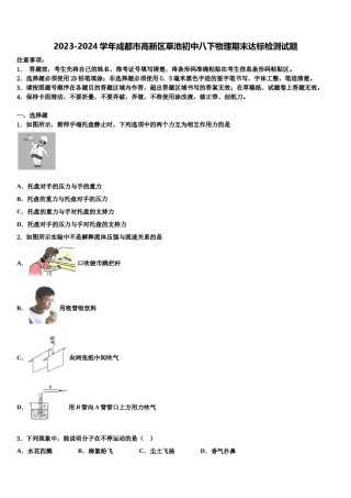 2023-2024学年成都市高新区草池初中八下物理期末达标检测试题含解析.doc