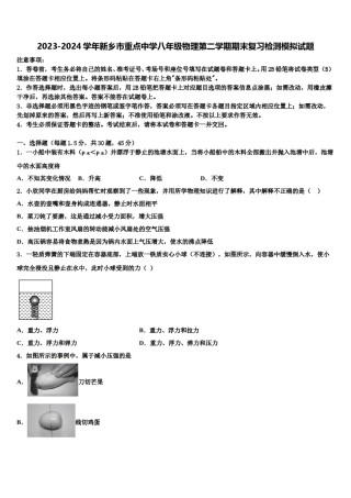 2023-2024学年新乡市重点中学八年级物理第二学期期末复习检测模拟试题含解析.doc