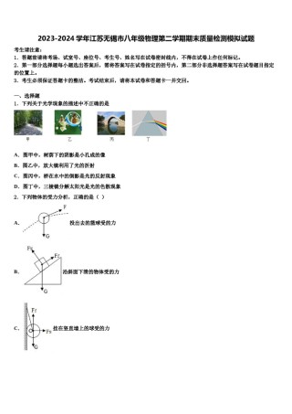 2023-2024学年江苏无锡市八年级物理第二学期期末质量检测模拟试题含解析.doc