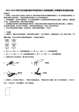2023-2024学年江苏无锡市锡中学实验学校八年级物理第二学期期末考试模拟试题含解析.doc