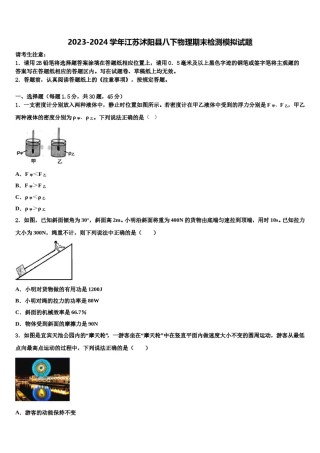 2023-2024学年江苏沭阳县八下物理期末检测模拟试题含解析.doc