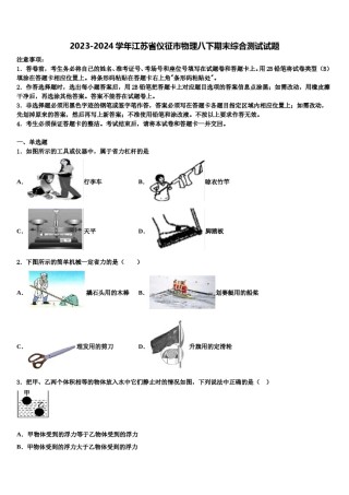 2023-2024学年江苏省仪征市物理八下期末综合测试试题含解析.doc