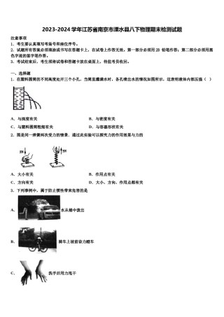 2023-2024学年江苏省南京市溧水县八下物理期末检测试题含解析.doc